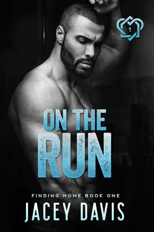 On The Run ebook